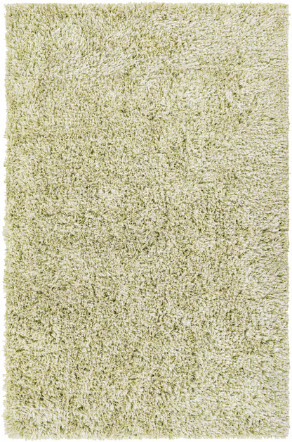 Anaheim AHM-2303 Hand Woven Rug