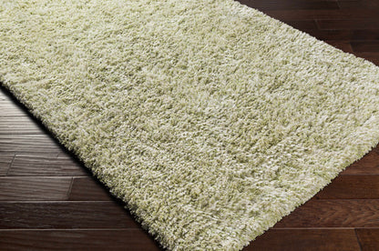 Anaheim AHM-2303 Hand Woven Rug