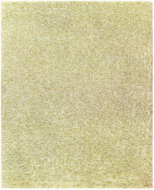 Anaheim AHM-2303 Hand Woven Rug