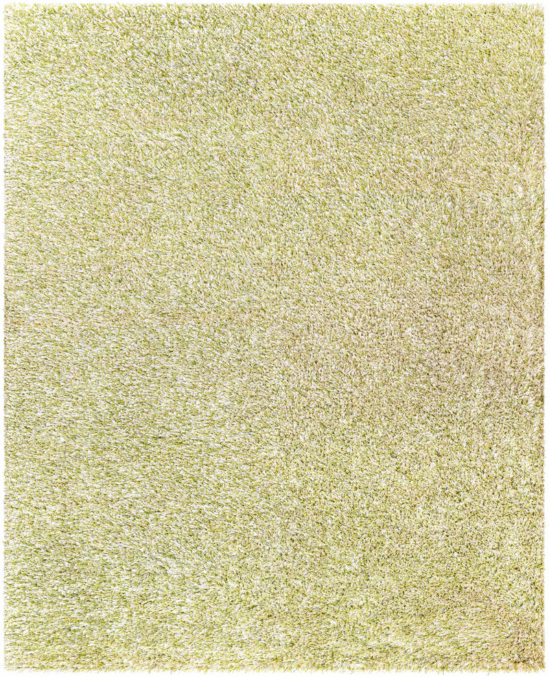Grass Green Hand Woven 100% Polyester Modern Rectangle Handmade rug, Indoor use only, has fringe, non-washable. runner also available