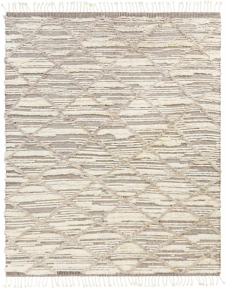 Light Beige Hand Knotted 100% Wool Global Rectangle Handmade rug, Indoor use only, has fringe, non-washable.