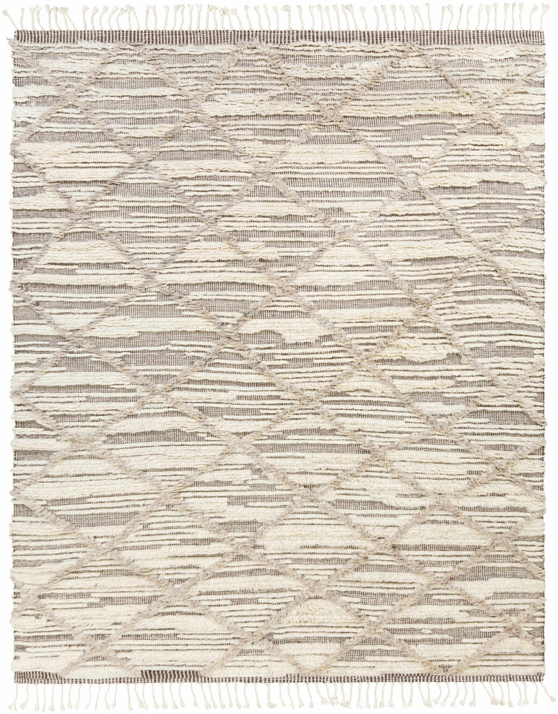 Light Beige Hand Knotted 100% Wool Global Rectangle Handmade rug, Indoor use only, has fringe, non-washable.