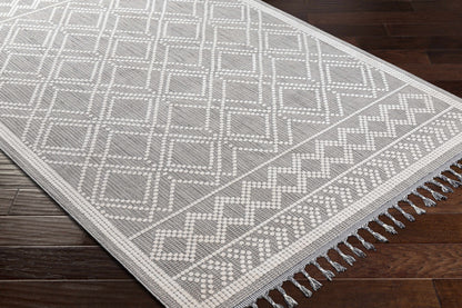 Palermo PLR-2300 Machine Woven Rug