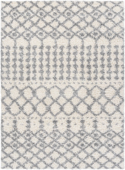 Deluxe Shag DXS-2312 Machine Woven Rug