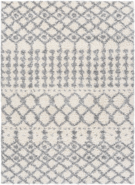 Deluxe Shag DXS-2312 Machine Woven Rug