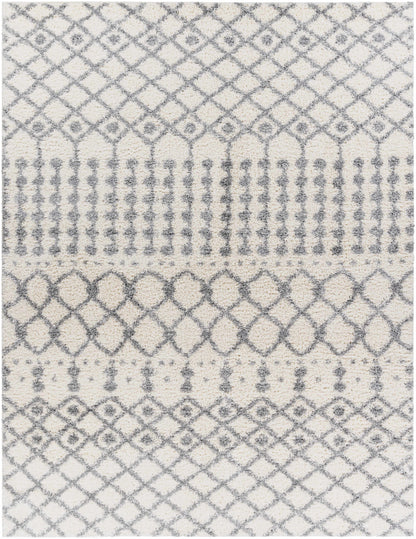 Deluxe Shag DXS-2312 Machine Woven Rug