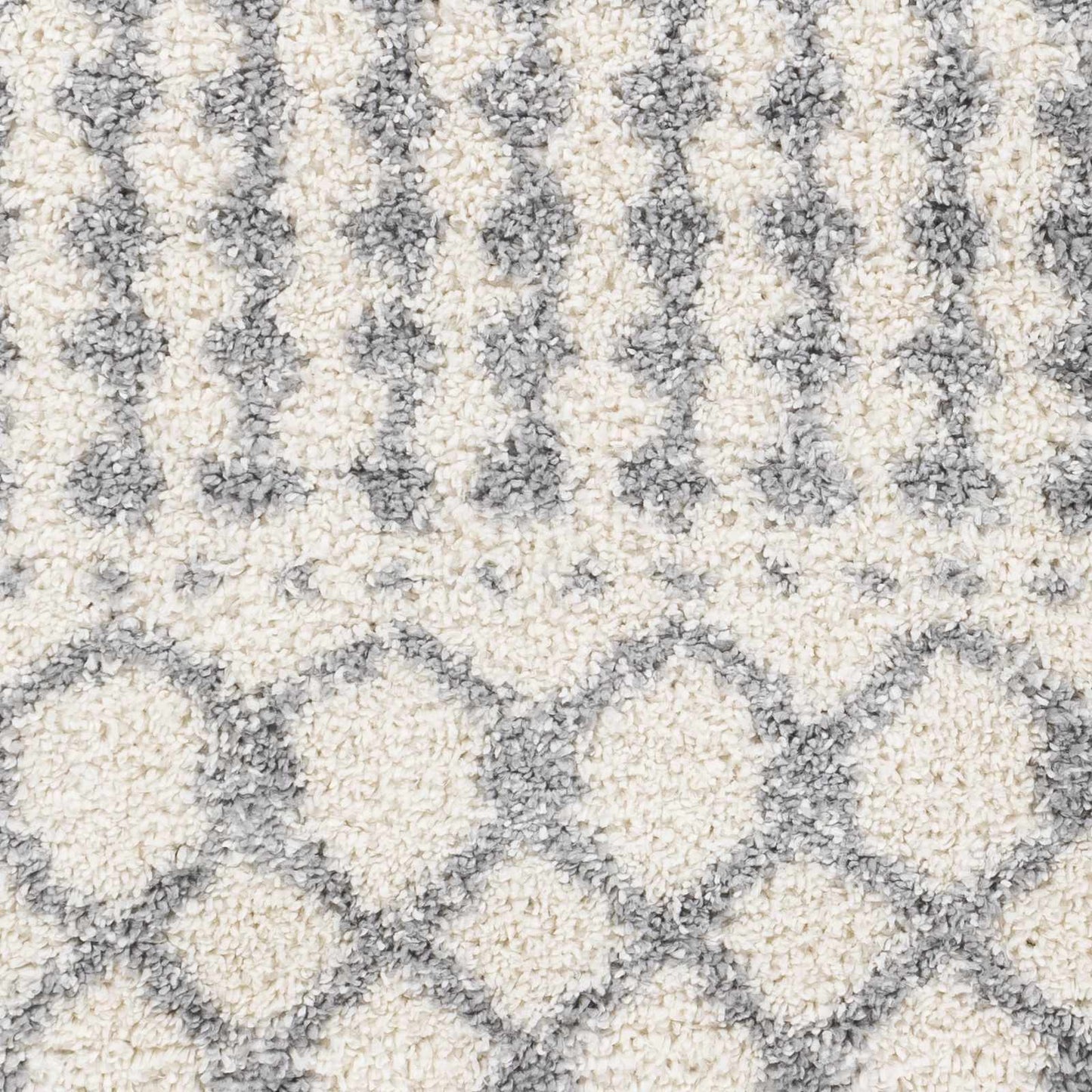 Deluxe Shag DXS-2312 Machine Woven Rug