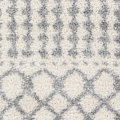 Deluxe Shag DXS-2312 Machine Woven Rug
