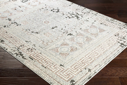 Venezia VNZ-2301 Machine Woven Rug