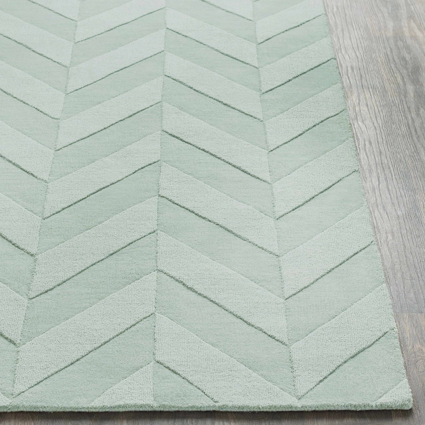 Central Park AWHP-4027 Hand Loomed Rug