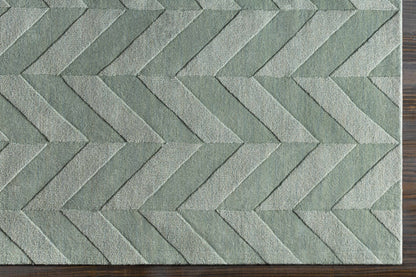 Central Park AWHP-4027 Hand Loomed Rug