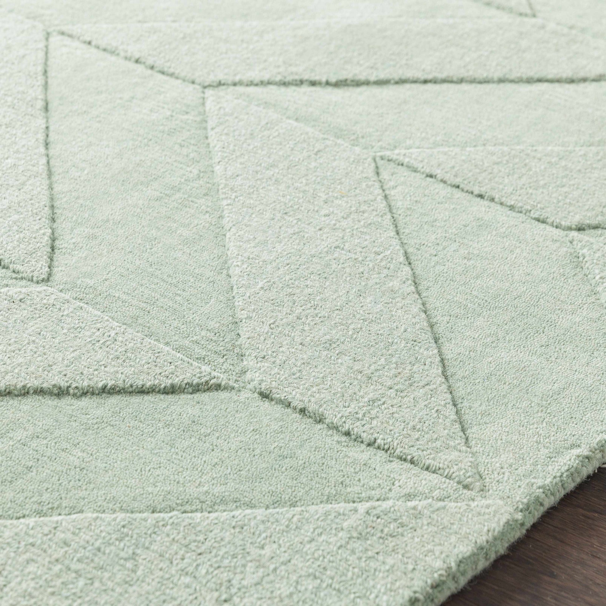 Central Park AWHP-4027 Hand Loomed Rug