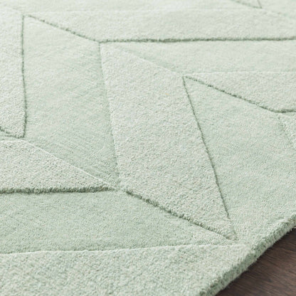 Central Park AWHP-4027 Hand Loomed Rug