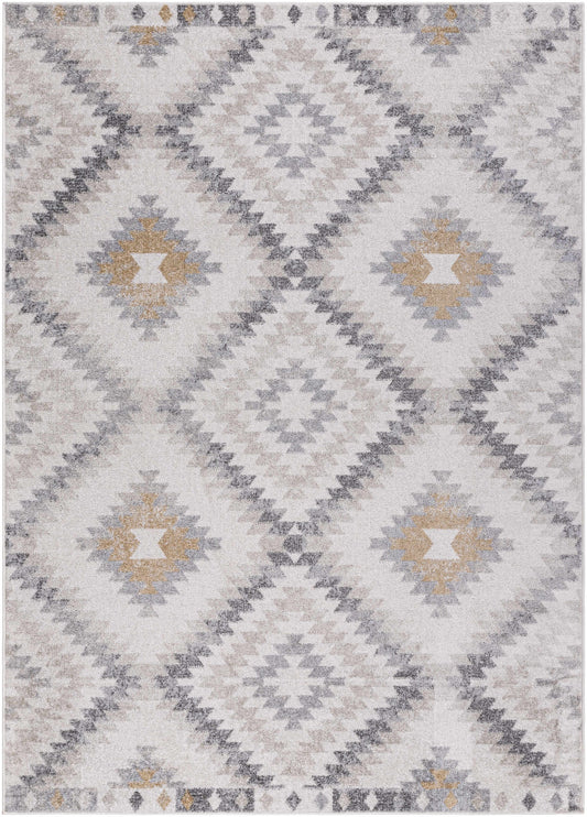 Harput HAP-1166 Machine Woven Rug