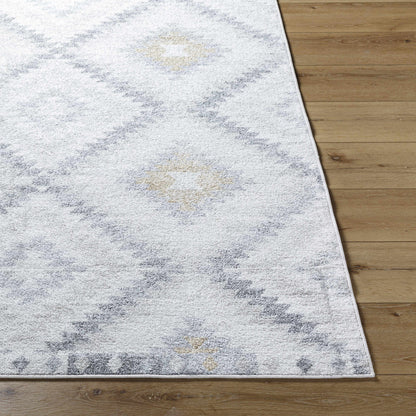 Harput HAP-1166 Machine Woven Rug
