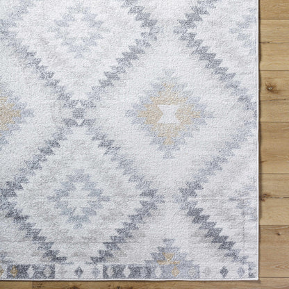 Harput HAP-1166 Machine Woven Rug
