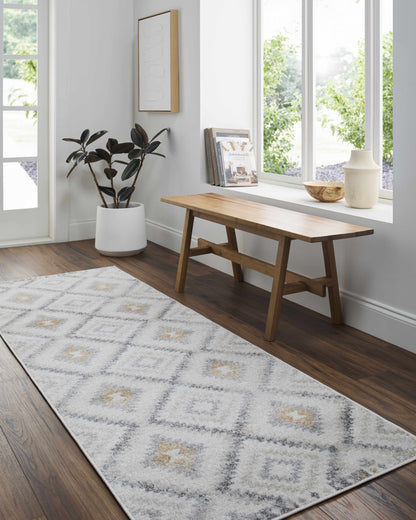 Harput HAP-1166 Machine Woven Rug