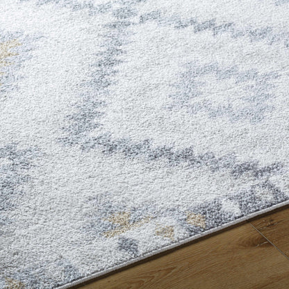 Harput HAP-1166 Machine Woven Rug