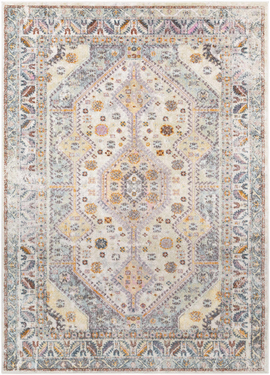 New Mexico NWM-2309 Machine Woven Rug