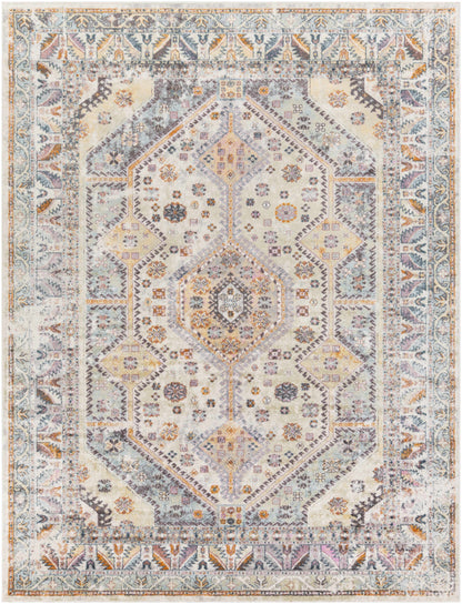 New Mexico NWM-2309 Machine Woven Rug