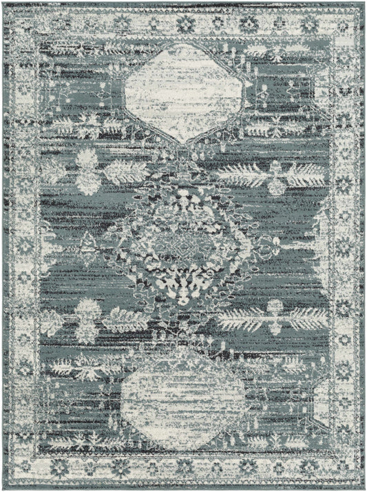 Tevazu TVZ-2366 Machine Woven Rug