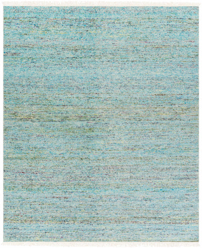 Aqua Hand Woven 60% Viscose, 40% Wool Modern Rectangle Handmade rug, Indoor use only, has fringe, non-washable.