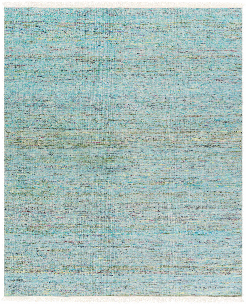Aqua Hand Woven 60% Viscose, 40% Wool Modern Rectangle Handmade rug, Indoor use only, has fringe, non-washable.