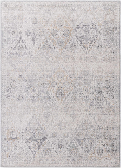 Harput HAP-1167 Machine Woven Rug