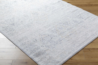 Harput HAP-1167 Machine Woven Rug
