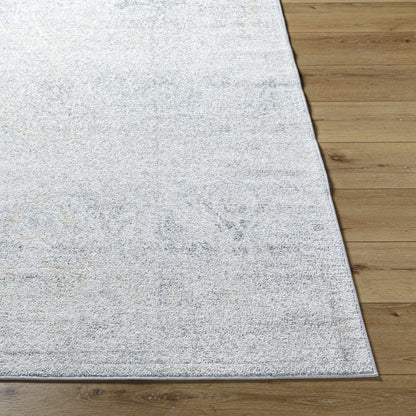 Harput HAP-1167 Machine Woven Rug