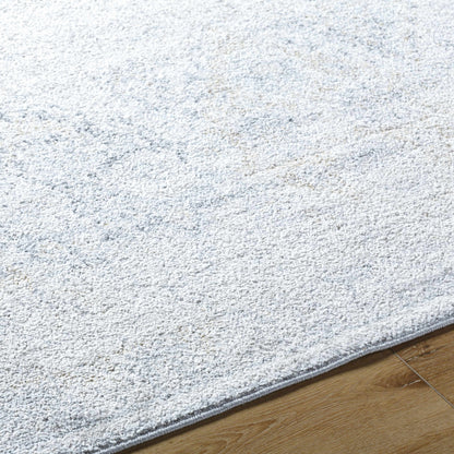 Harput HAP-1167 Machine Woven Rug