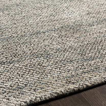 Helen HLE-2303 Hand Loomed Rug