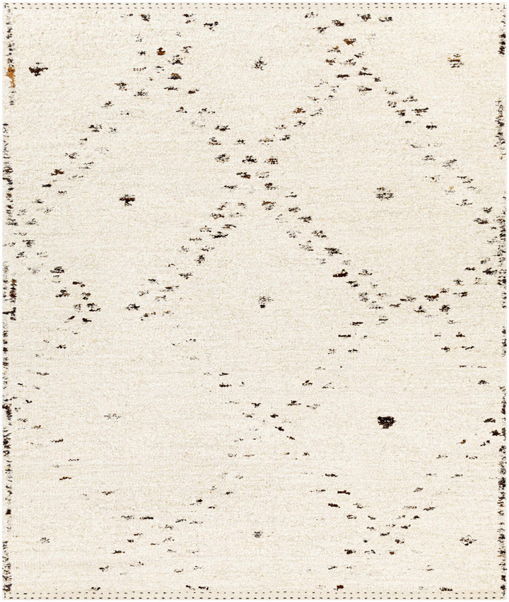 Light Beige Hand Woven 100% Wool Global Rectangle Handmade rug, Indoor use only, no fringe, non-washable. runner also available