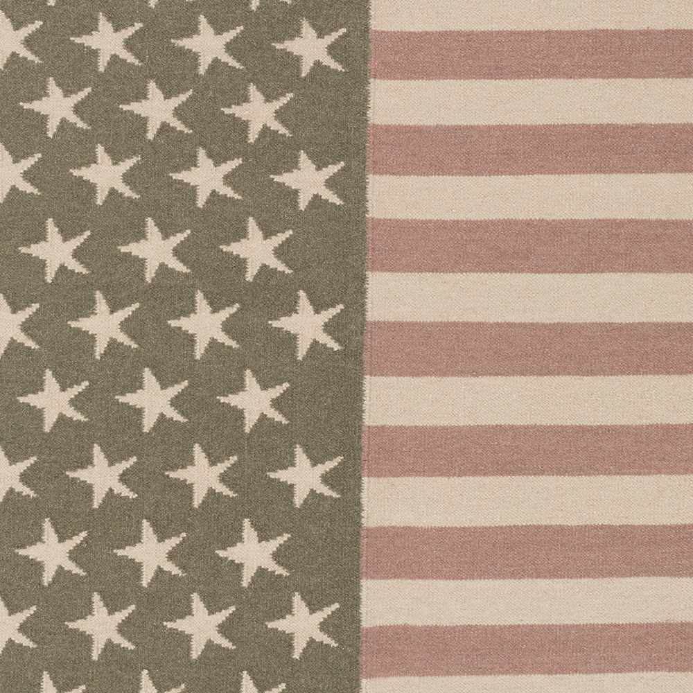 Washington WAS-5002 Hand Woven Rug