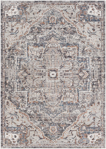 Daytona Beach DYT-2312 Machine Woven Rug