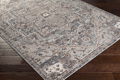Daytona Beach DYT-2312 Machine Woven Rug