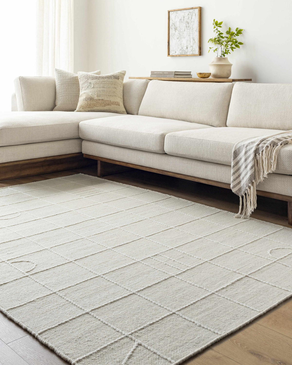 Marcela MCL-2304 Hand Woven Rug