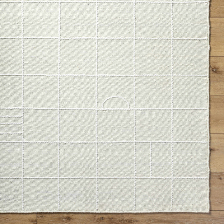 Marcela MCL-2304 Hand Woven Rug