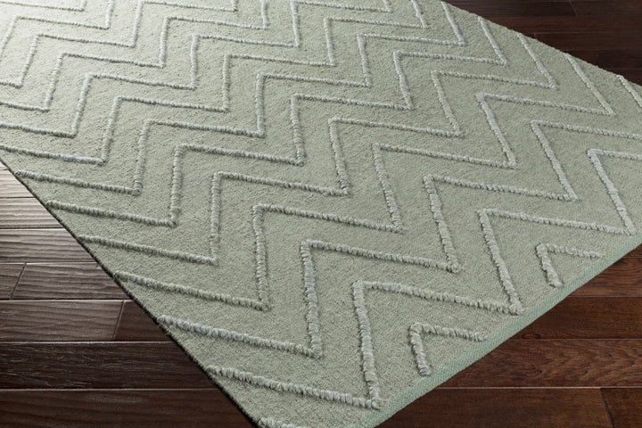 Mateo MAE-1003 Hand Woven Rug