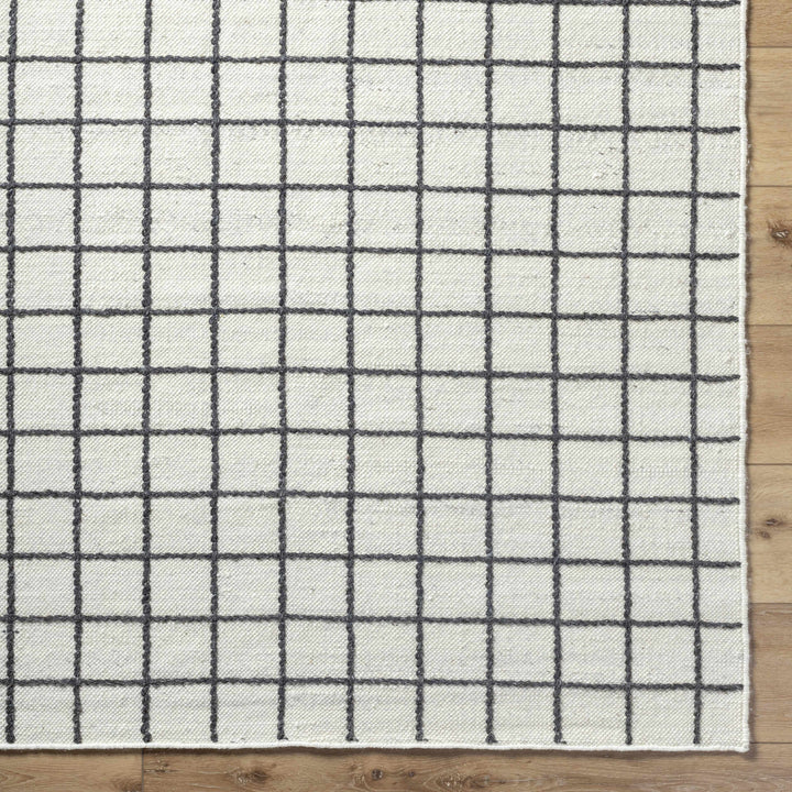 Marcela MCL-2302 Hand Woven Rug