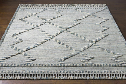 Cadiz CDZ-2301 Hand Knotted Rug