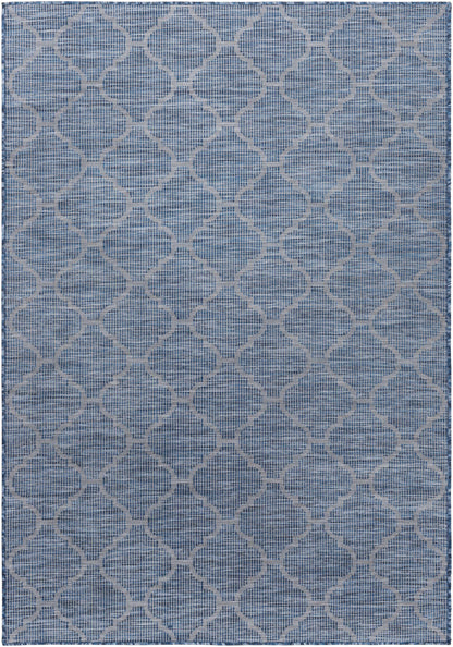 Pasadena PSA-2340 Machine Woven Rug