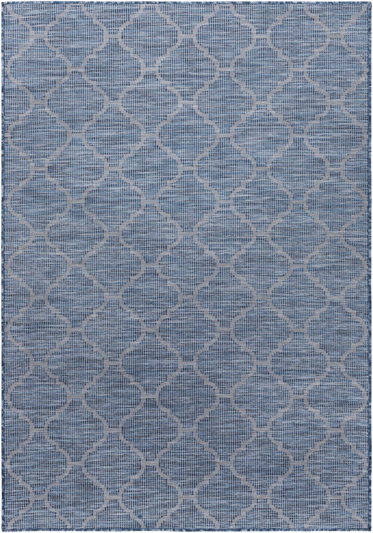 Pasadena PSA-2340 Machine Woven Rug