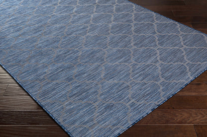Pasadena PSA-2340 Machine Woven Rug