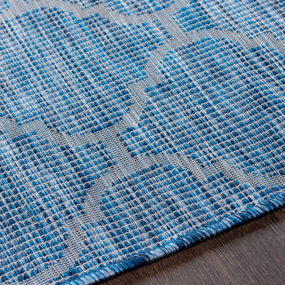 Pasadena PSA-2340 Machine Woven Rug