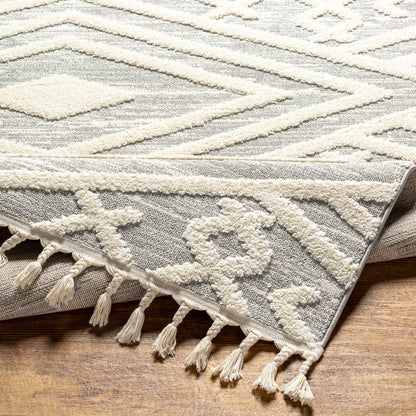 Nora NOA-2302 Machine Woven Rug