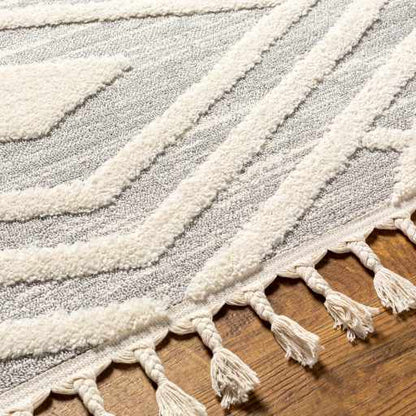 Nora NOA-2302 Machine Woven Rug