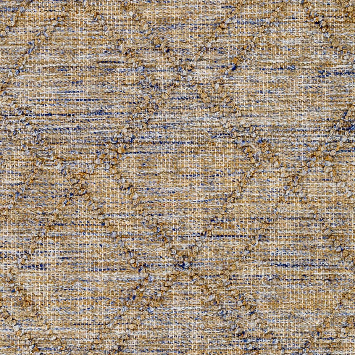 Regal RGL-2303 Hand Woven Rug