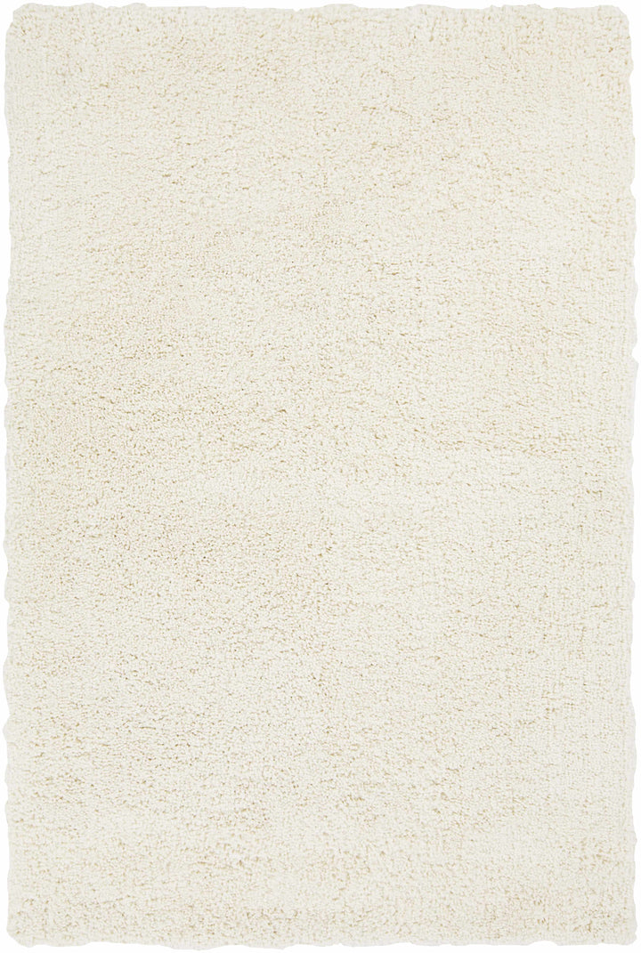 Off-White Hand Woven 100% Polyester Modern Rectangle Handmade rug, Indoor use only, no fringe, non-washable. runner also available