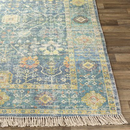 Zainab ZAI-2309 Hand Woven Rug